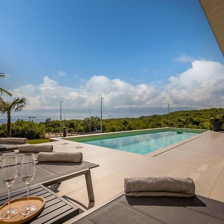 Villa Ameli Apartment With Swimming Pool Rijeka Exterior photo